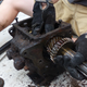 Image for article titled This Is What A Thoroughly Broken Manual Transmission Looks Like Inside